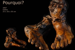 Pourquoi ? bois