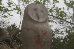 Hibou